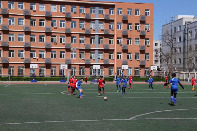 爱德华兹27分唐斯27+12 森林狼大胜掘金2-0